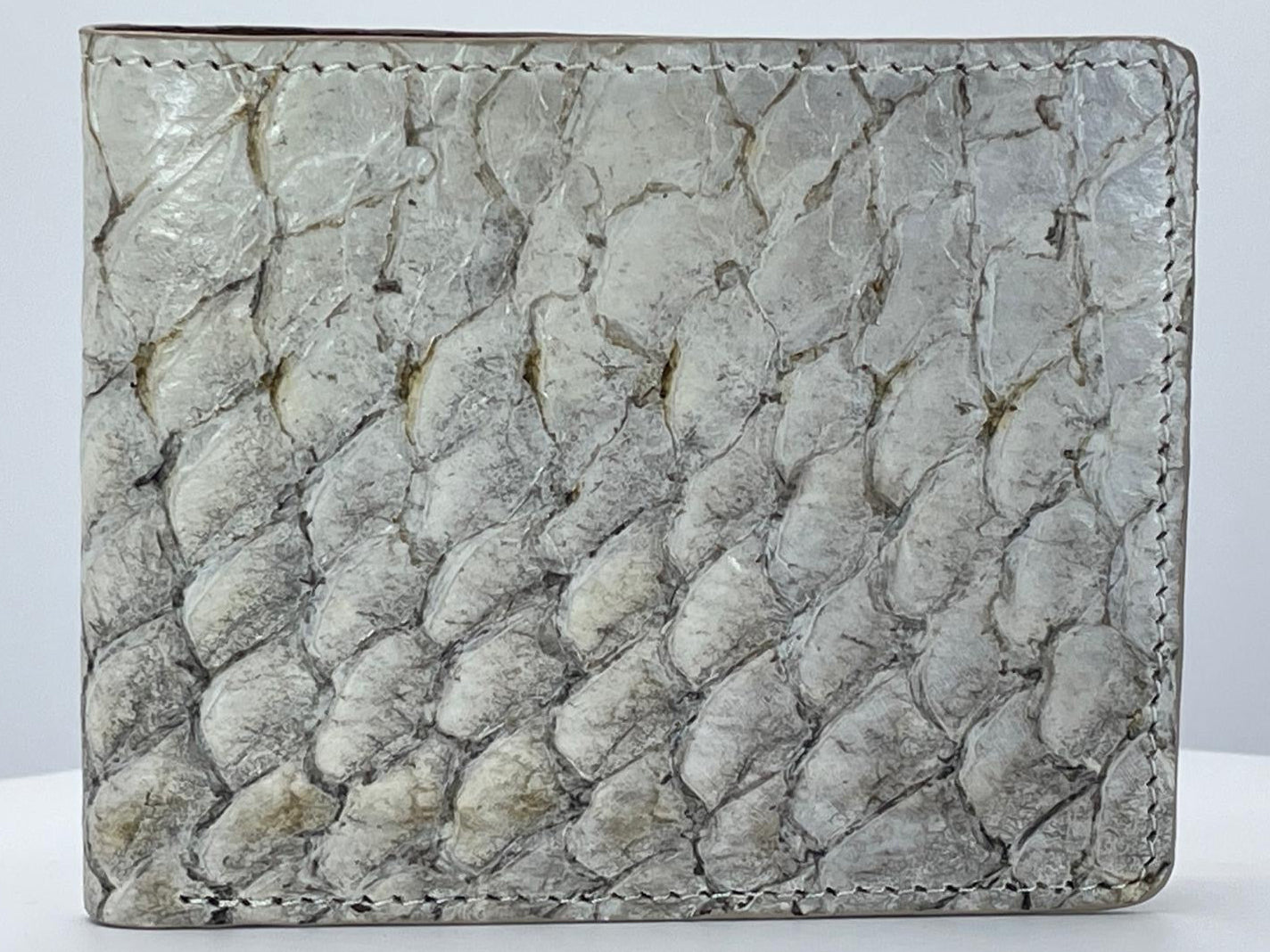 Barramundi skin wallet on a white background - front