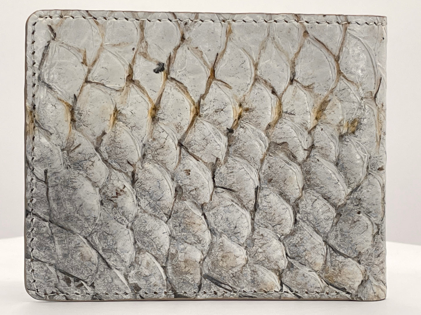Barramundi skin wallet on a white background - back