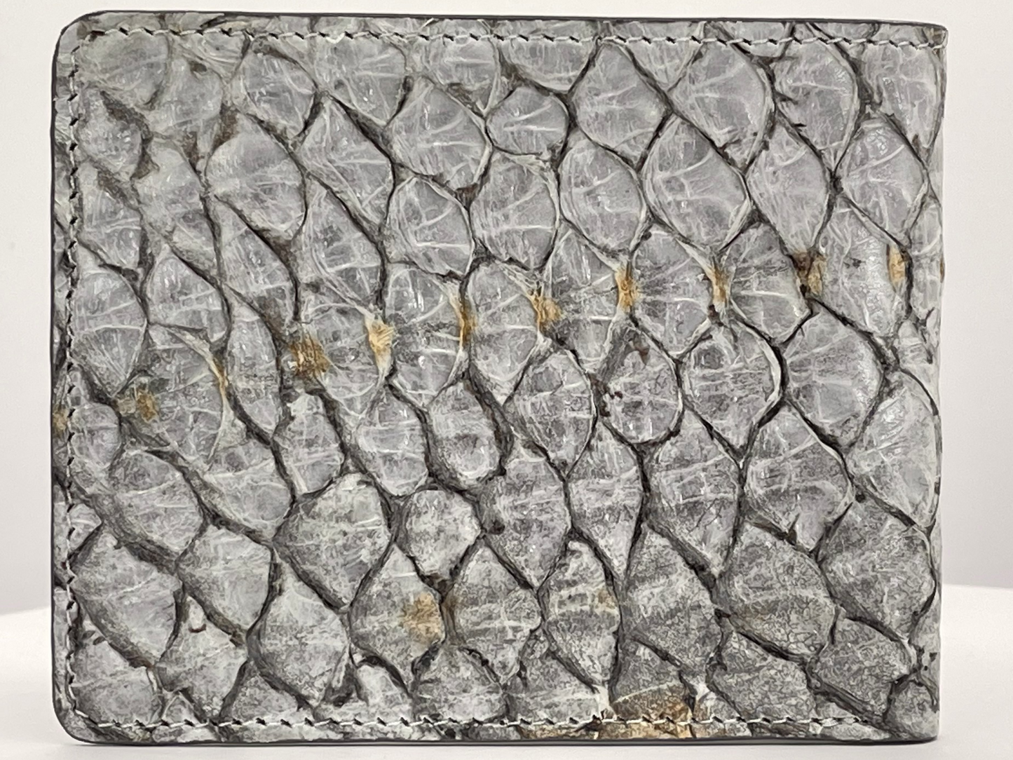 Barramundi skin wallet on a white background - back