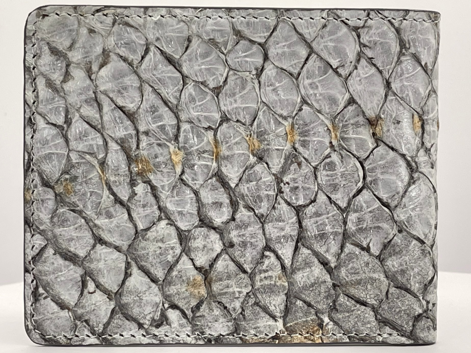 Barramundi skin wallet on a white background - back