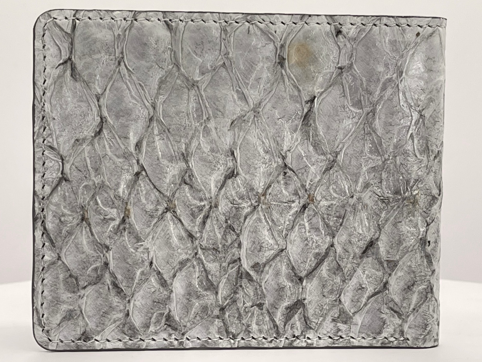 Barramundi skin wallet on a white background - back