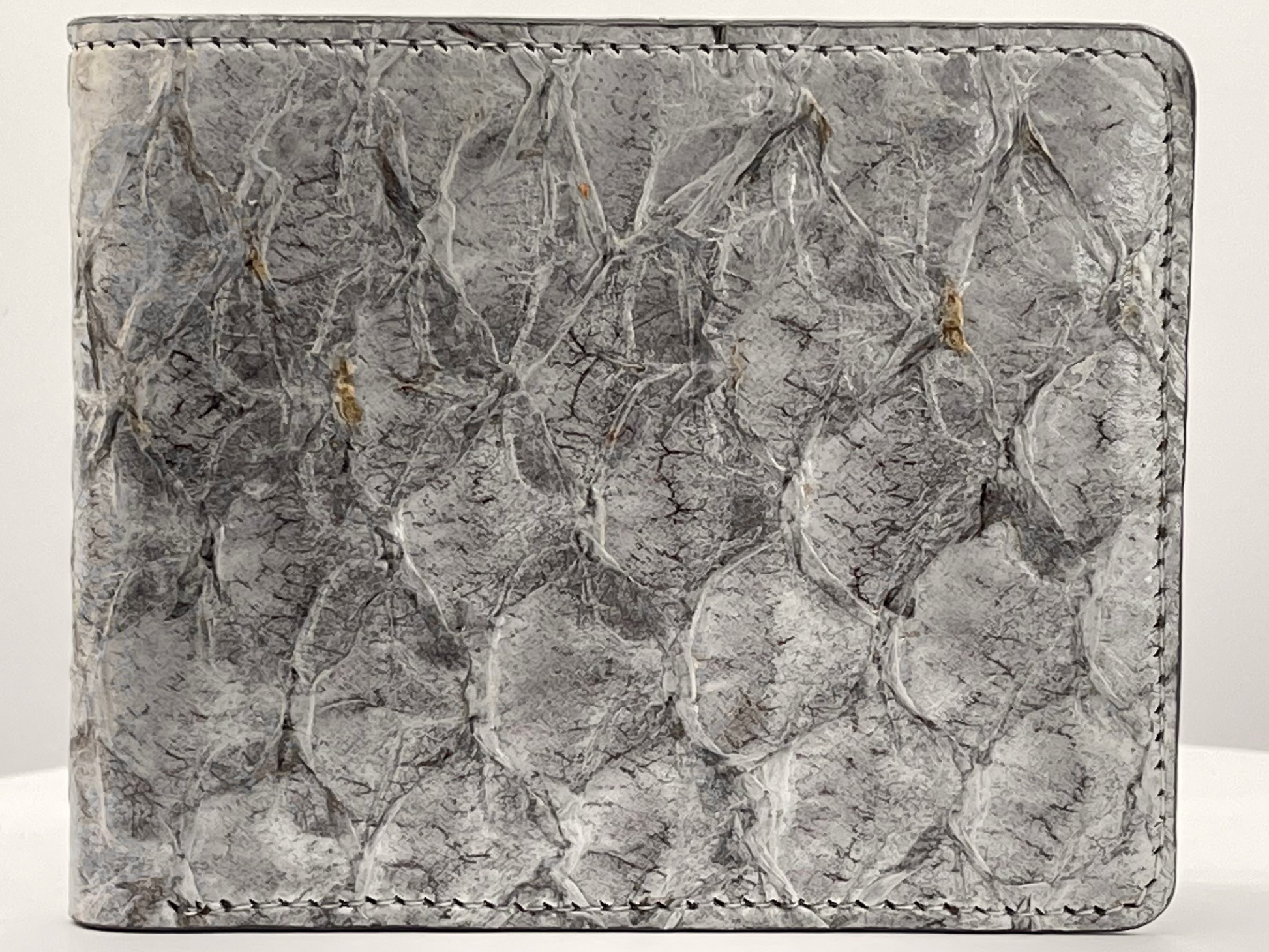 Barramundi skin wallet on a white background - front