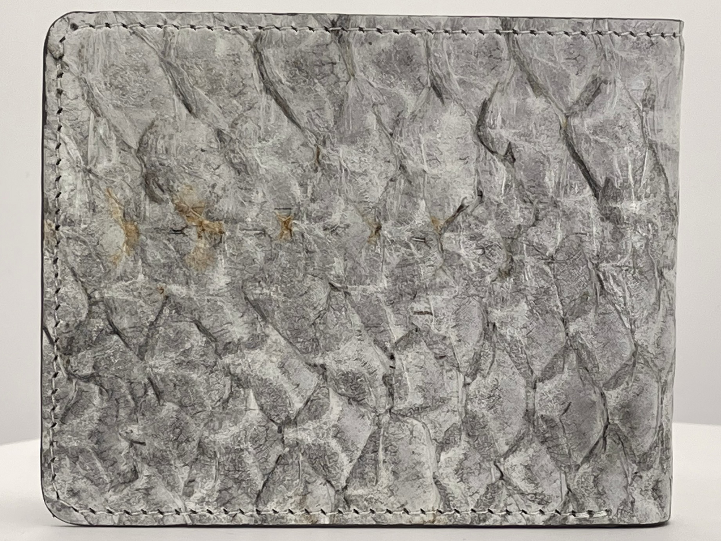 Barramundi skin wallet on a white background - back