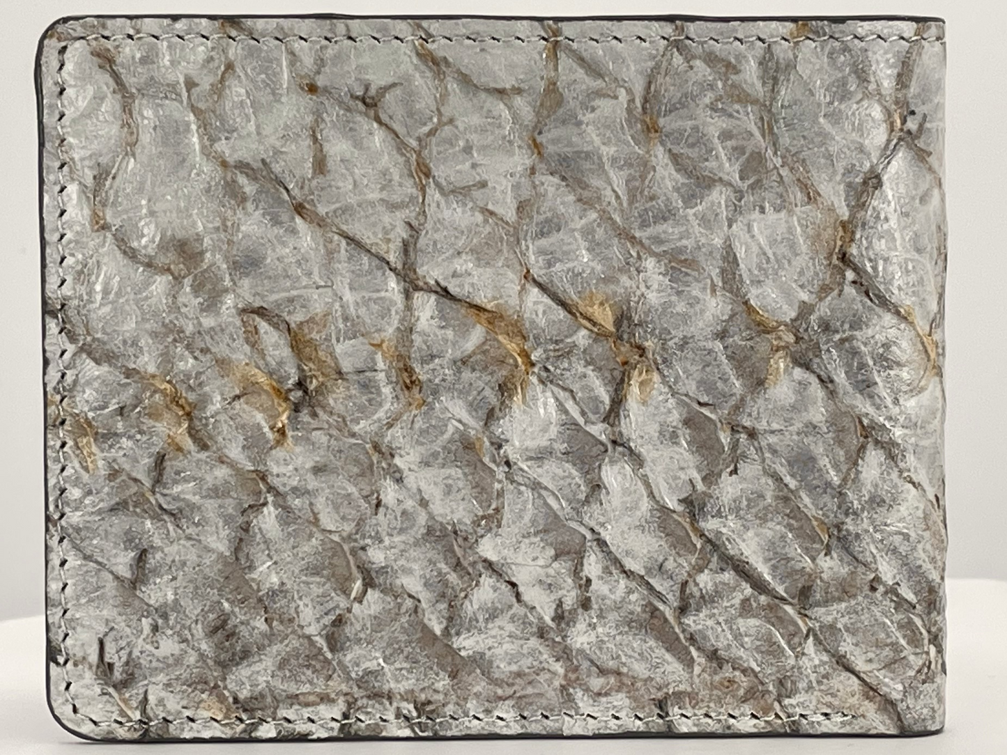 Barramundi skin wallet on a white background - back