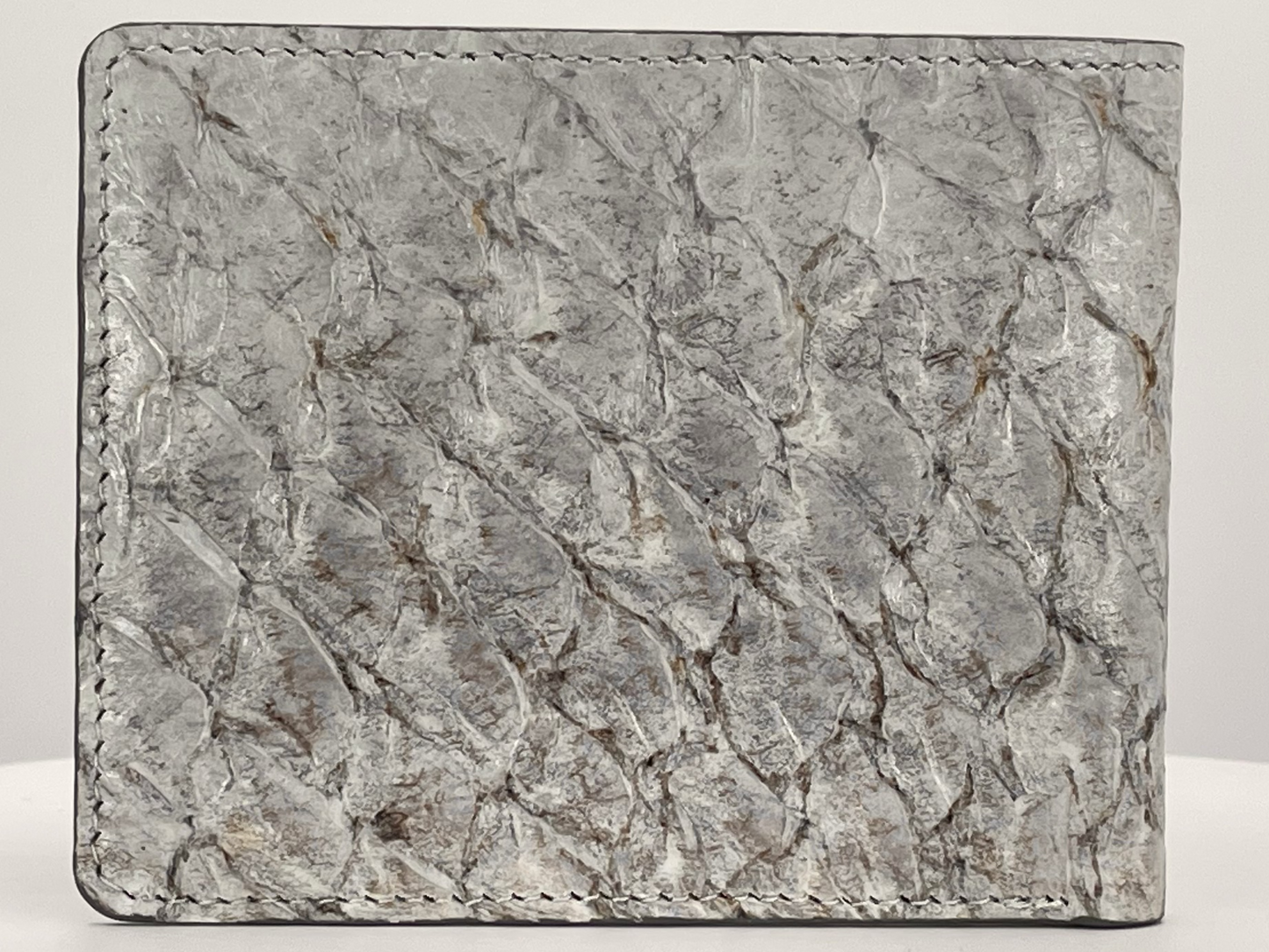 Barramundi skin wallet on a white background - back