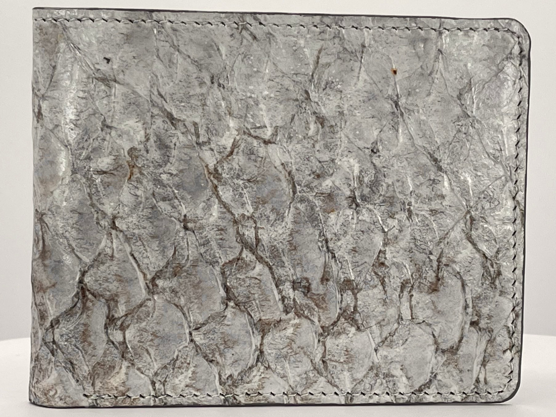 Barramundi skin wallet on a white background - front