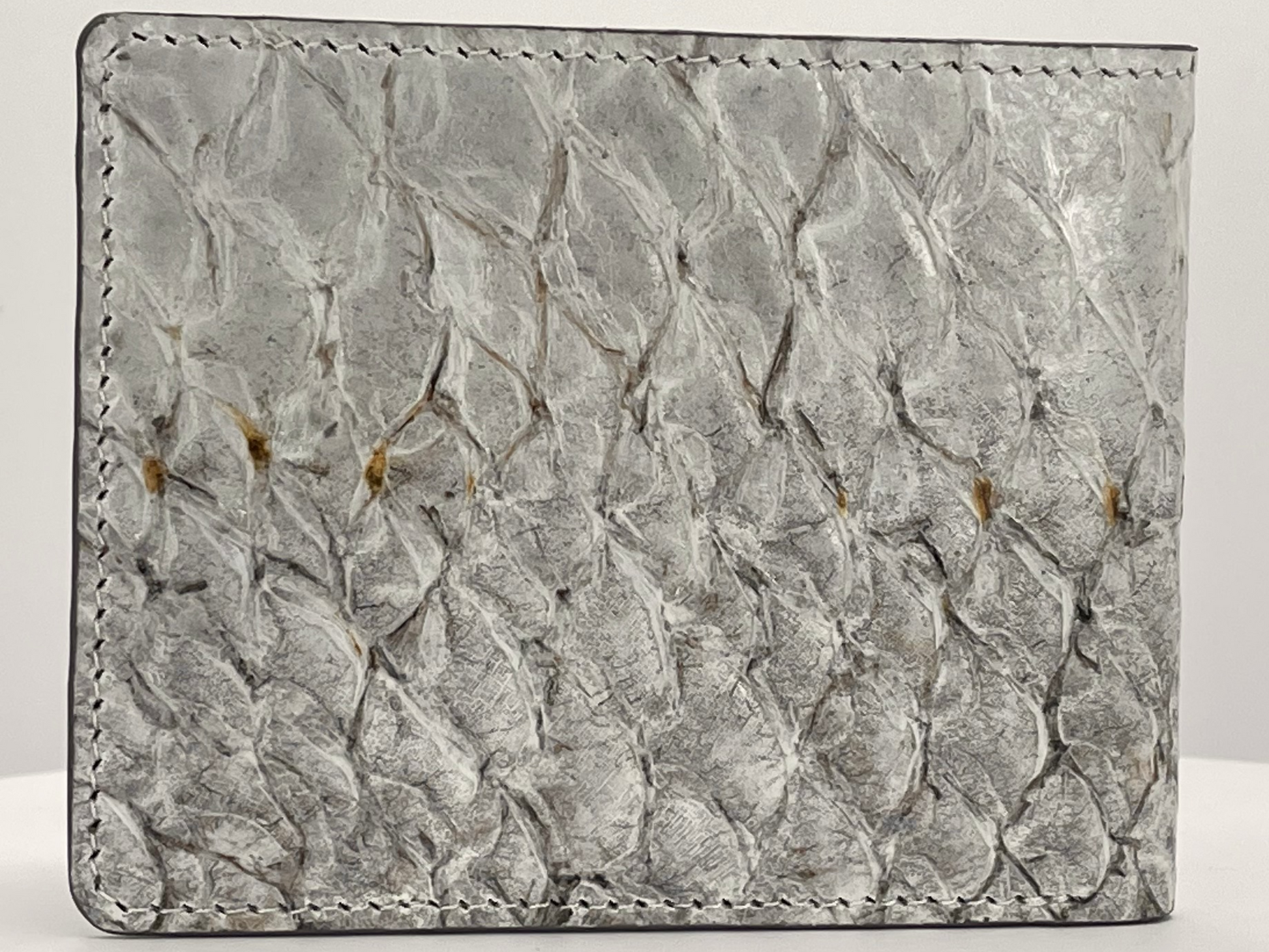 Barramundi skin wallet on a white background - back