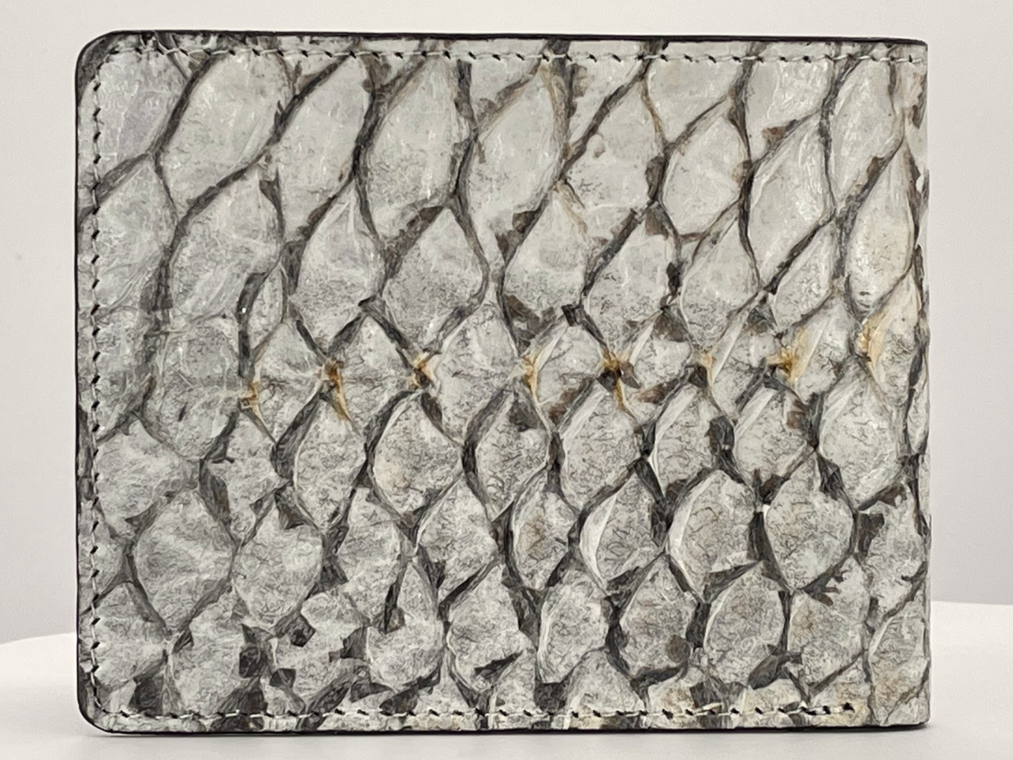 Barramundi skin wallet on a white background - back
