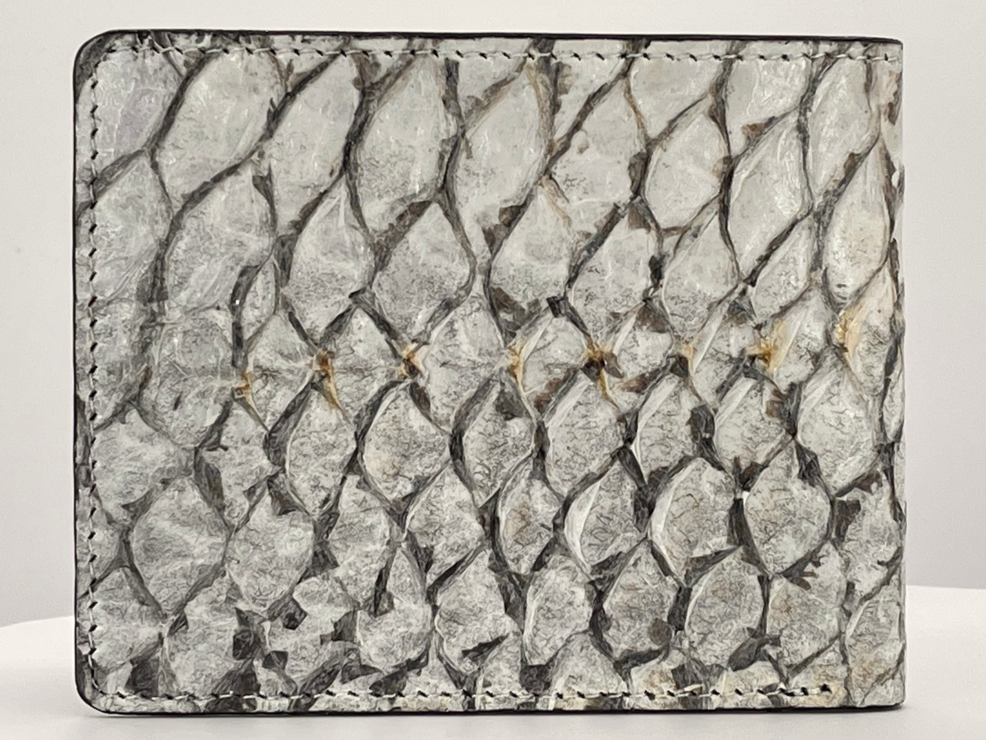 Barramundi skin wallet on a white background - back