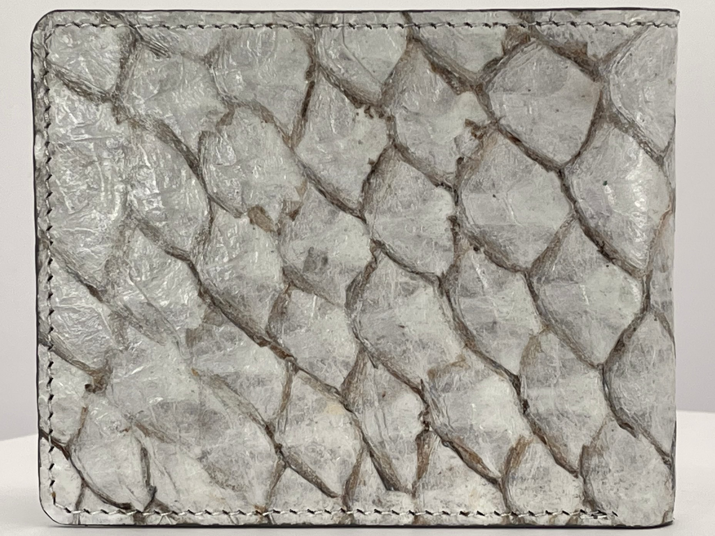 Barramundi skin wallet on a white background - back