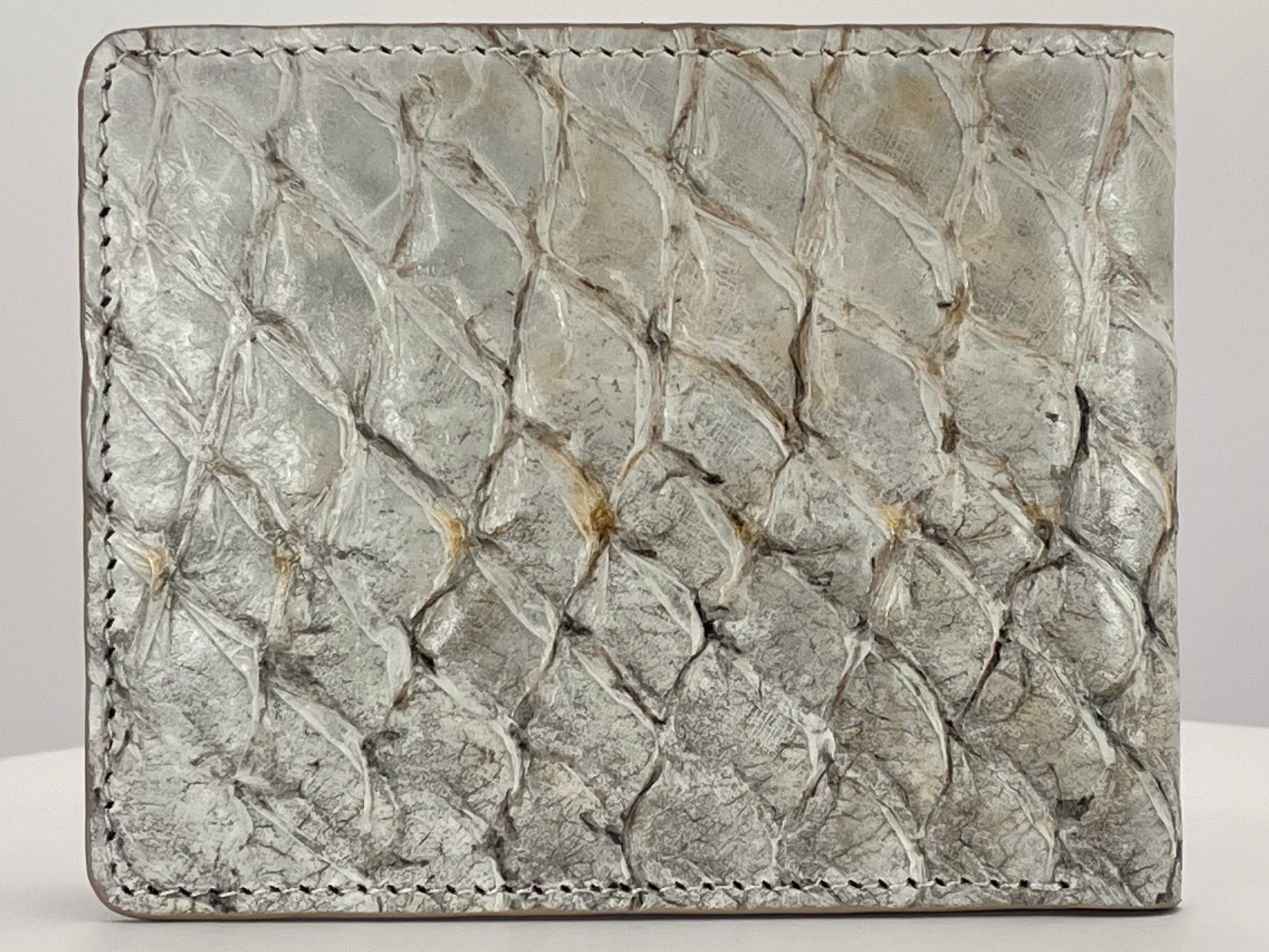 Barramundi skin wallet on a white background - back