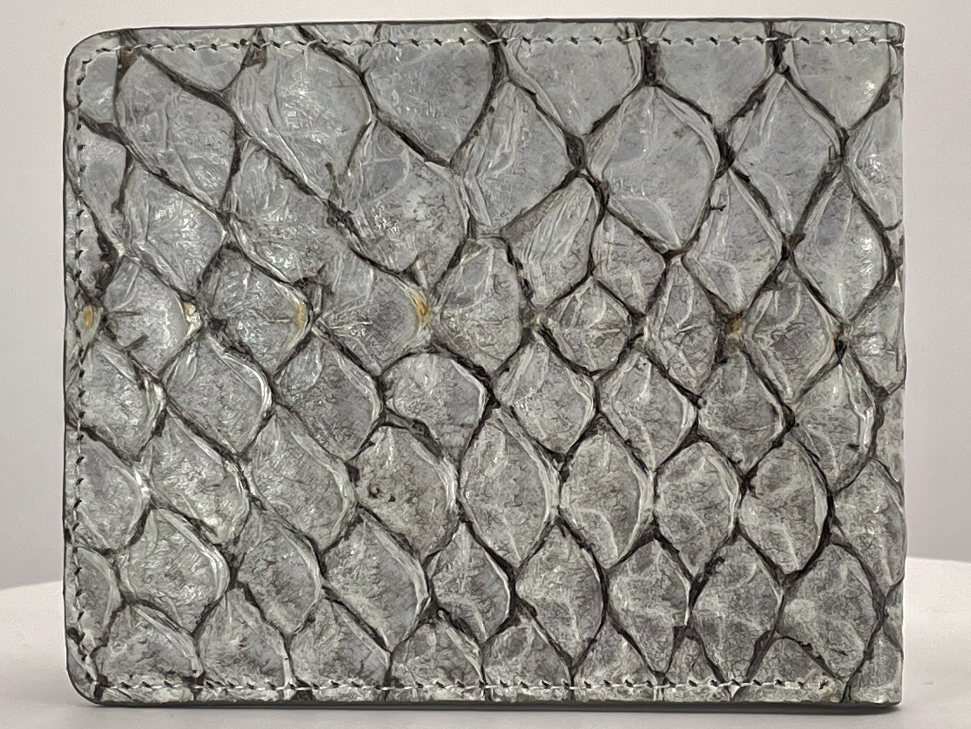 Barramundi skin wallet on a white background - back