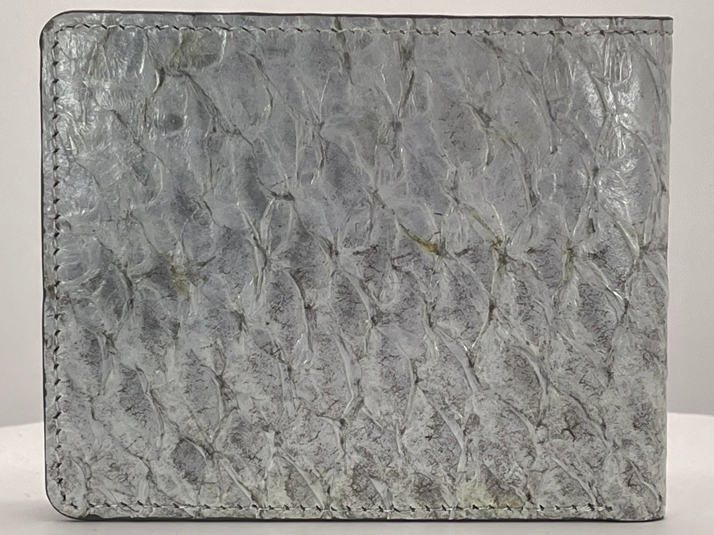 Barramundi skin wallet on a white background - back
