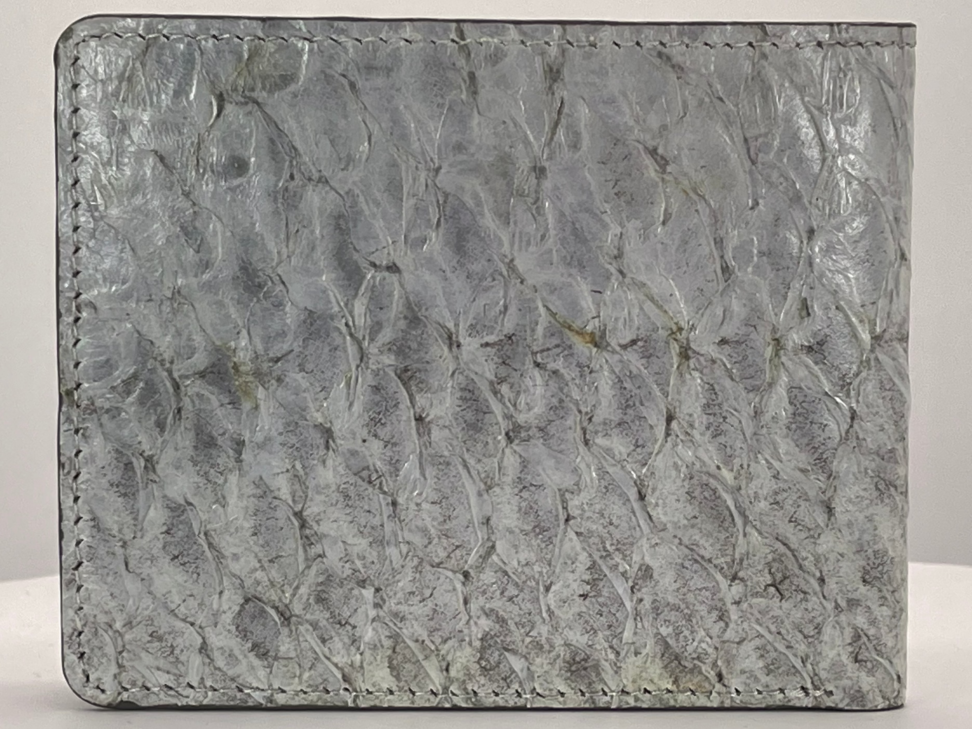 Barramundi skin wallet on a white background - back
