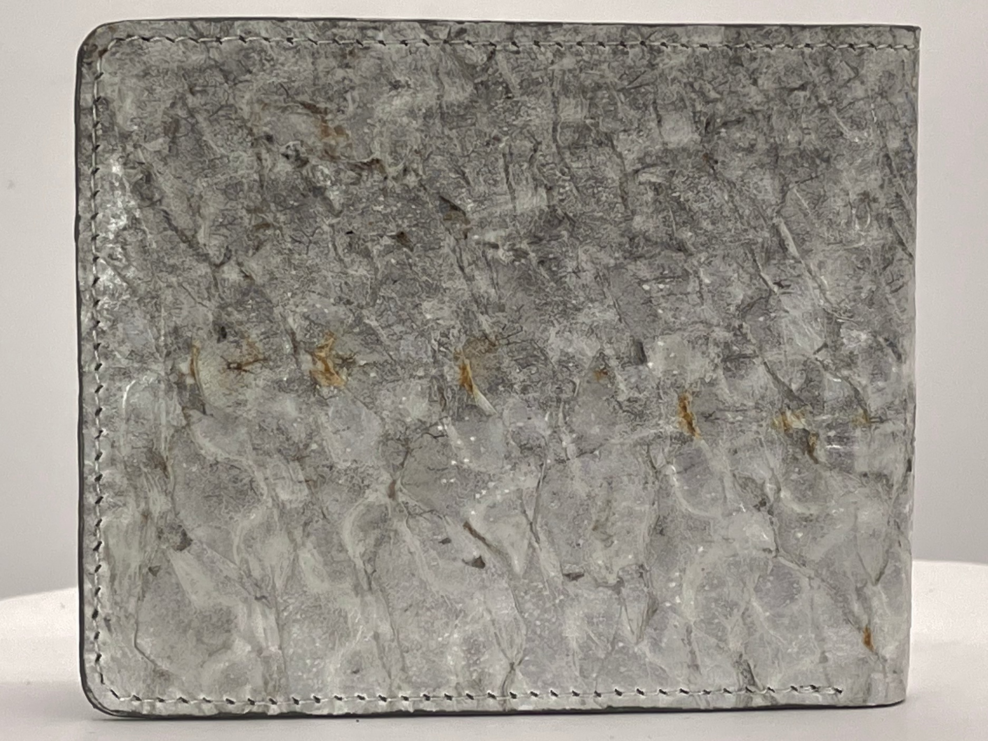 Barramundi skin wallet on a white background - back