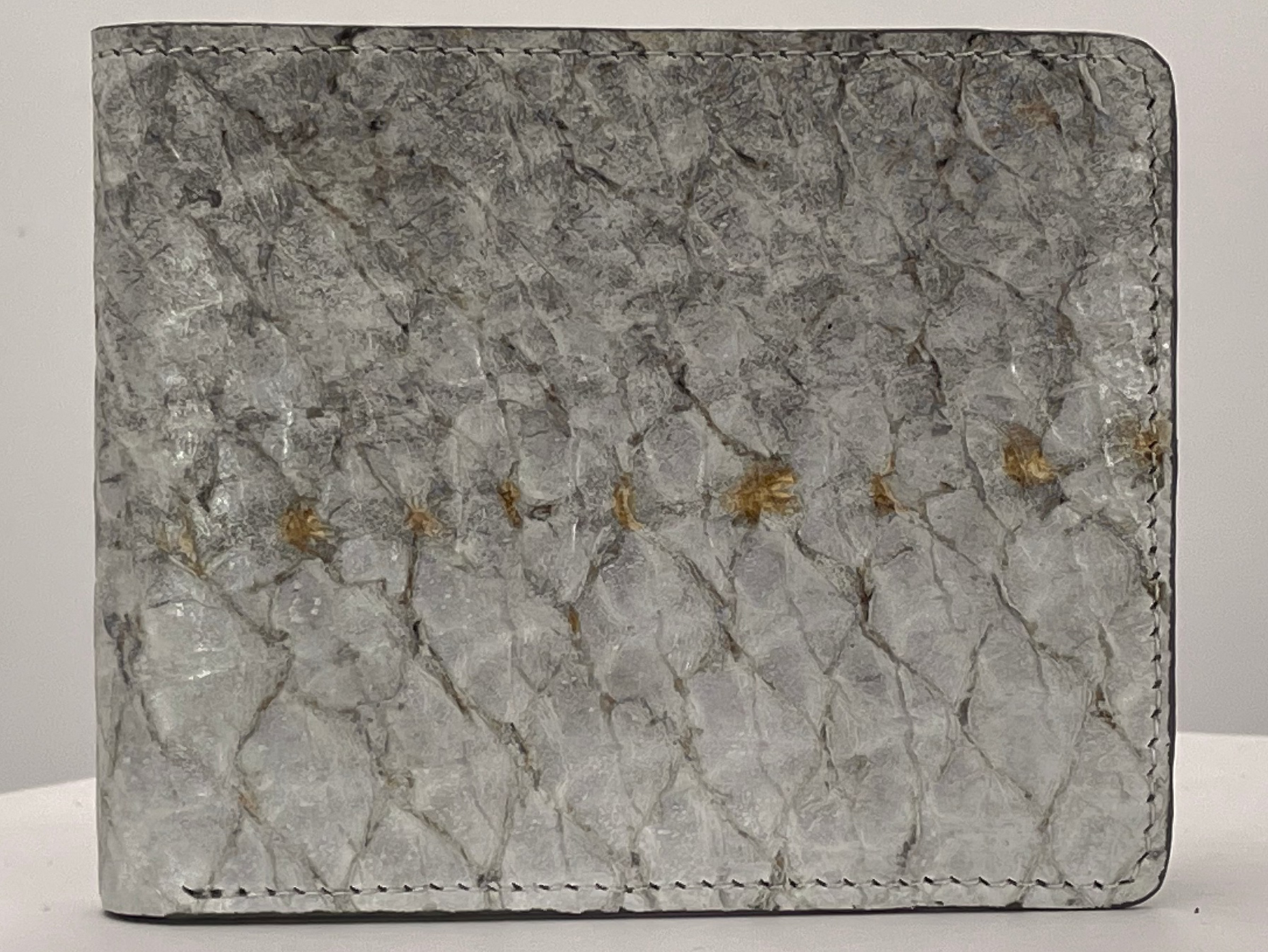 Barramundi skin wallet on a white background - front