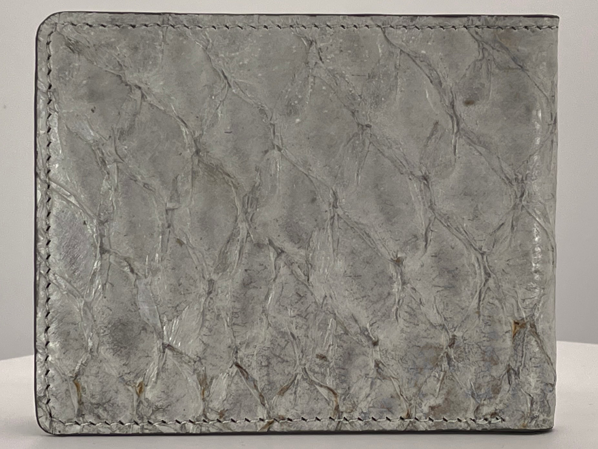 Barramundi skin wallet on a white background - back