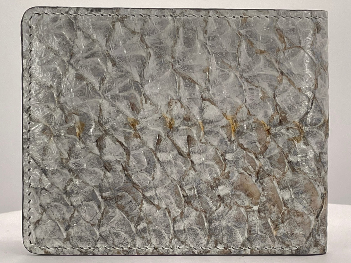 Barramundi skin wallet on a white background - back