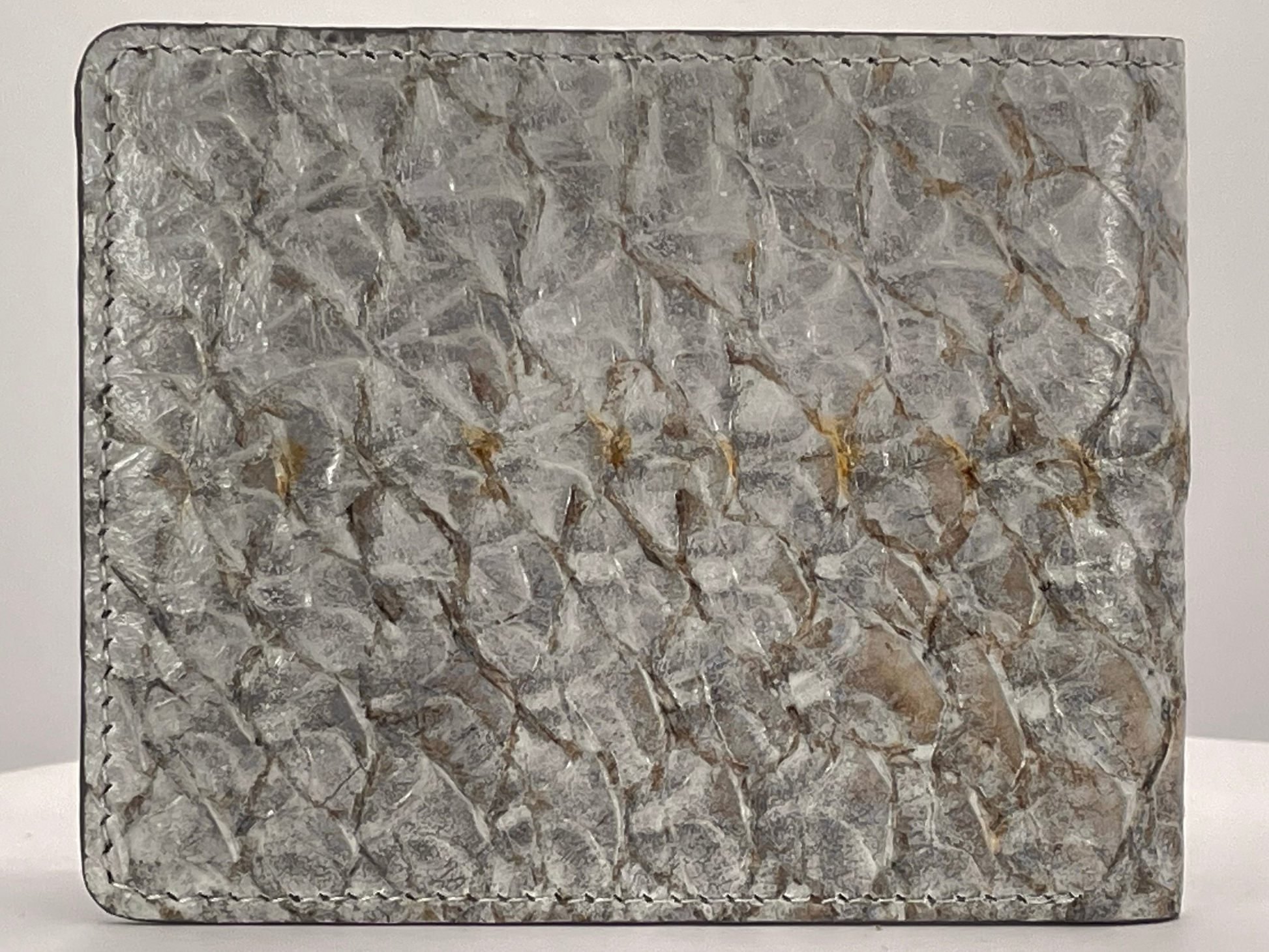 Barramundi skin wallet on a white background - back