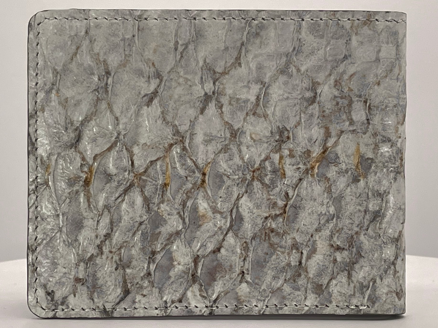 Barramundi skin wallet on a white background - back