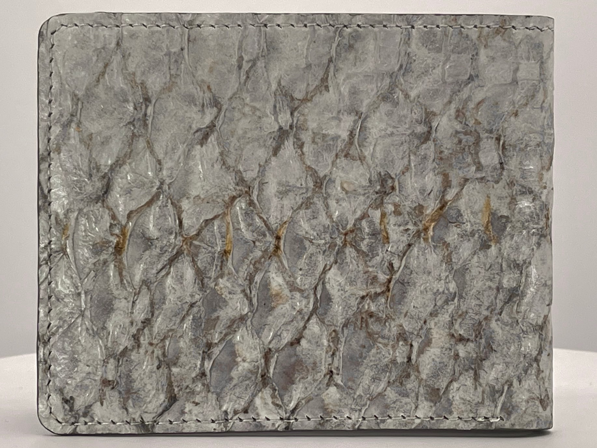 Barramundi skin wallet on a white background - back
