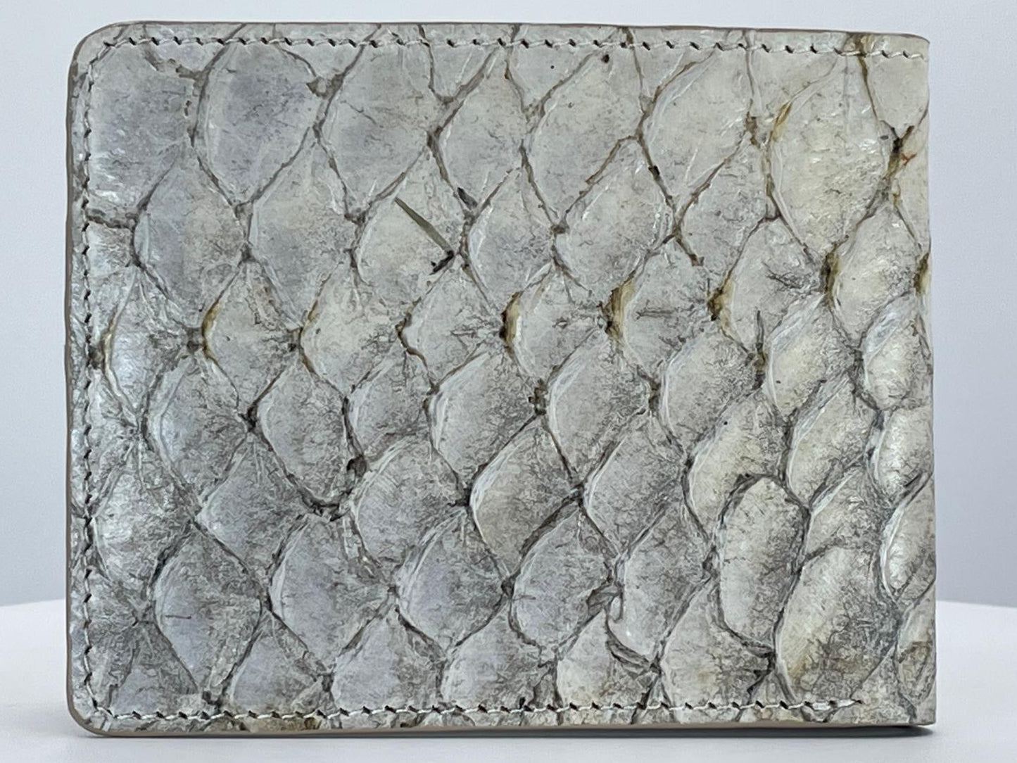 Barramundi skin wallet on a white background - back