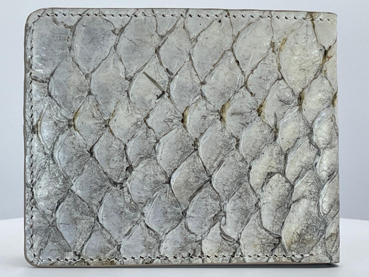 Barramundi skin wallet on a white background - back